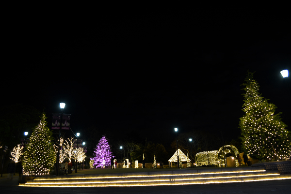 131225 america DSC_0307.jpg